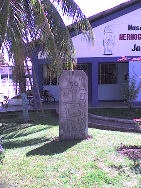 dsc00112.jpg