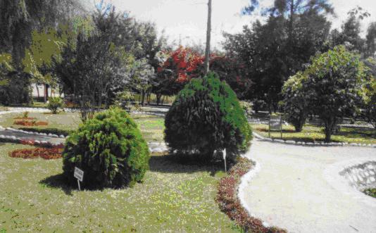 imagen1.jpg